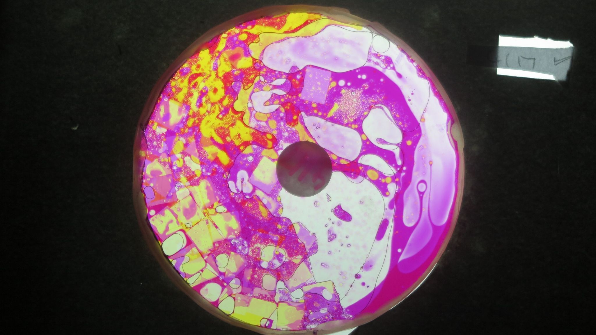 BV4117 bubble vision oil wheel